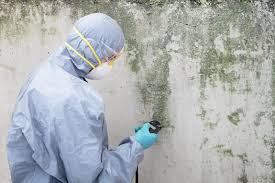 Reliable Merlin, OR Mold Remediation Solutions